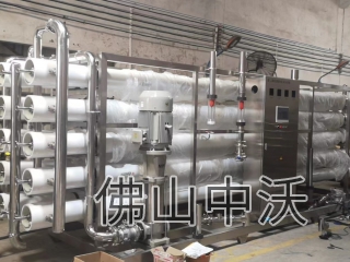 50噸/小時(shí)二級(jí)反滲透純水系統(tǒng)（食品/飲料）